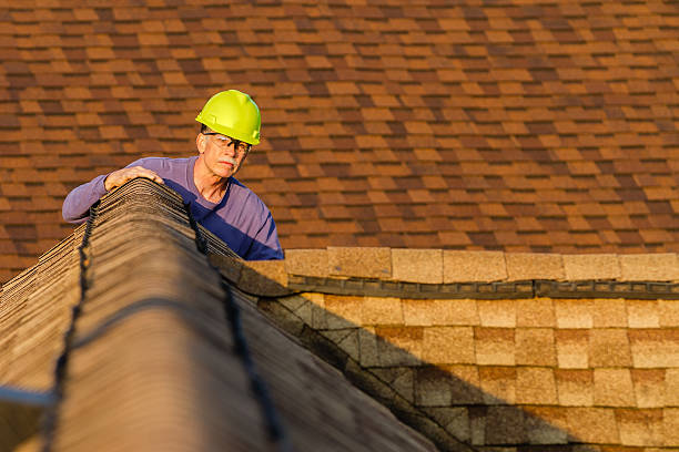 Best Residential Roofing Contractor  in Lecanto, FL
